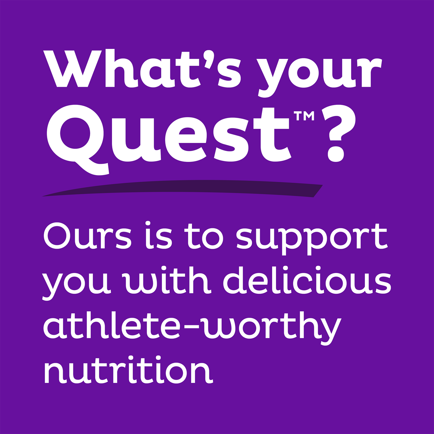 double-chocolate-chunk-protein-bars-v3 qst-000241_double-chocolate-chunk-protein-bars_9.png